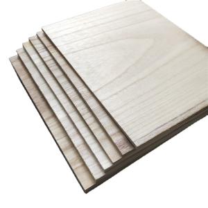 China Martial Arts Boards 225x300mm Paulownia Breaking Wood Board within 3-30MM Thickness factory