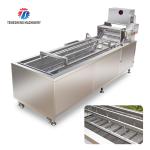 240KG Fruit and vegetable washing machine automatic cleaning operation line