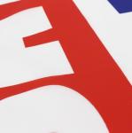 Mesh Polyester Advertising Banner Flags For Campaign