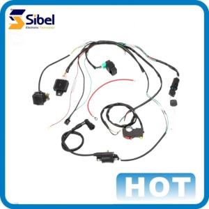 Professional Custom Assembly Manufacturer OEM Customize Engine Wire Harness