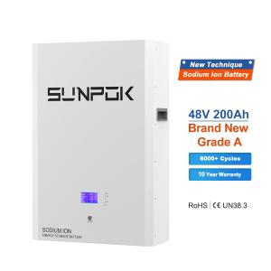 China Built - In Smart BMS Natrium Ion Battery SP-48100-BG-NA factory