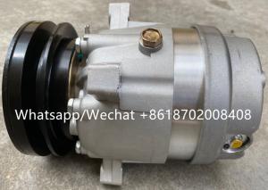 China V5 Auto Ac Compressor for Fiat / Lancia Delta OEM : 1135095 / 1131665 / 757600 / 7773395 1PK 140MM factory