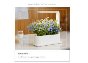 China PP LED Acid Resistance Home Hydroponic Growing System factory
