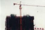 8 Tons Potain Tower Crane QTZ80(6010) with 60M Jib length And 125X125X12 Welded