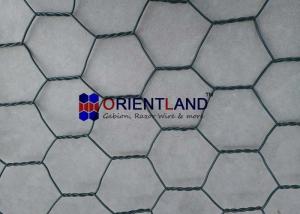 China Flexible High Strength Wire Gabion Wall Baskets Revegetation PVC Coated Gabion Weirs factory