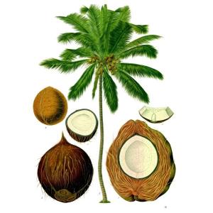 Anti Aging Mono And Diglycerides Emulsifier E471 GMS 40