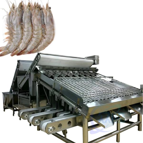 Production line of integrated shrimp and fish cleaning machine Customized large