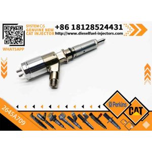 Excavator Parts C6 Engine Injector 320-0680 2645A709 295-9130 382-0480 282-0490