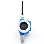 Sus304 3.6V Iot Wireless Temperature Sensor For Fire Hydrant