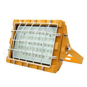 China AC85-265V IP66 Explosion Proof Lighting Fixtures Energy Efficiency factory