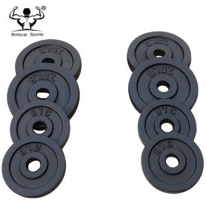 China Adjustable Dumbbell Weight Plates , Black Paint Cast Iron Weight Plates factory
