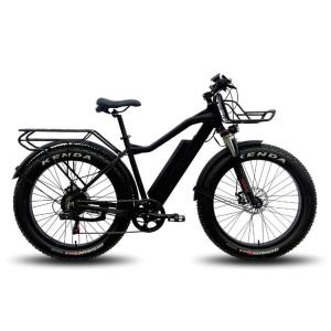China Mini Portable Electric Bike With Detachable Battery Lithium 32kgs factory