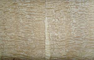 China Yellow Ash Burl Wood Veneer , 0.50 mm Thickness Natural Wood Veneer factory