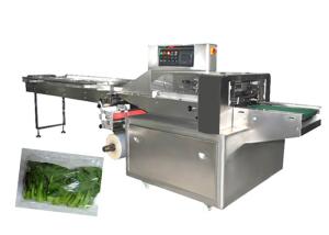 China Agricultural Products Vegetable Packaging Equipment Servo Motor User Friendly factory