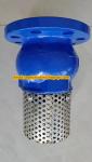 Base GGG50 DIN flanged foot valve made in China