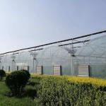 50meter Hot Galvanized Steel Pe Film Greenhouse Tomato Nuersery Seedling With