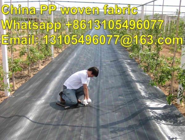 2m x 25m 100g Weed Control + Pegs + Sheet Ground Cover Membrane Landscape Fabric