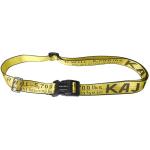 Nylon 3.5x150cm Dog Running Belt , PET Traction Rope Eco Friendly