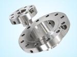 Stainless Steel A182 Grade F 321 600# Orifice Flange Forged Steel Flanges