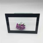 Anti Fog Aluminosilicate Cover Glass For Outdoor Display Machine