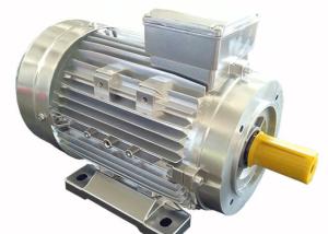 China MS ICO141 Cooling IP44 2900Rpm 3 Phase Induction Motor factory