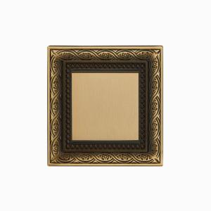 China Amertop EU Brushed Brass Panel , 87mm Electrical Switch Socket factory