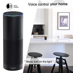 EU Standard 16A Smart Plug Socket 2.4GHz Wifi Wall Outlet Google Alexa App