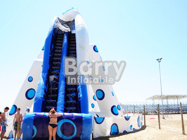 Blue Animal Giant Dolphin Inflatable Water Slide Adult Size Huge Inflatable Slides