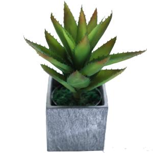China Indoor Decor Artificial Succulent Plant No Nursing Evergreen Four Seasons 50cm Bespoke Bonsai For Hotel Table factory