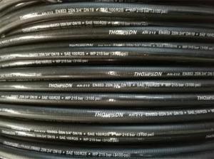 China Easily Clean 3/16&quot; ISO 1436-1 1SN Wire Braid Hydraulic Hose factory