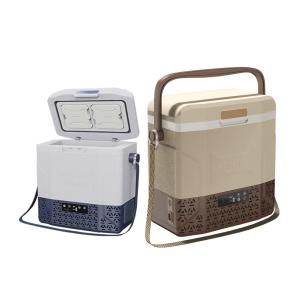 China 12V/24V Portable Mini Freezer for Outdoor Camping AC/DC Compressor Car Refrigerator factory