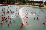 Family Fun Water Park Wave Pool for kids or adults / Water Park Project