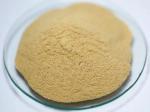 Inactive Animal Feed Yeast Beer Yeast Powder Promote Nutrition
