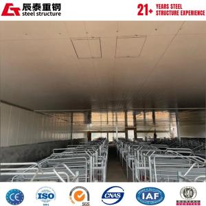 Customized design solution for prefabricated steel structure farm breeding