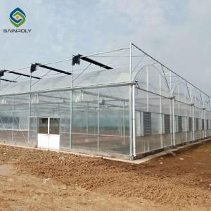China 33ft Multi Span PE Plastic Shed Film Greenhouses on sale