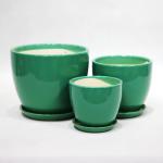 Add a Touch of Style to Your Plants with our Ceramic Pots Collection