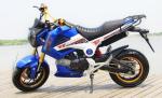 Manual Drive Gas Powered Dirt Bikes Disc Brake 110cc 125cc With Horn