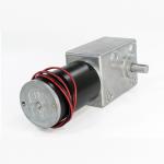 Carbon Brush DC Worm Gear Motors 24V High Torque Self Locking 195rpm