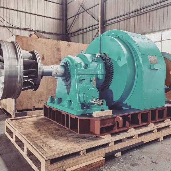 50-Years Vertical / Horizontal Installation Water Turbine Generator Brushless