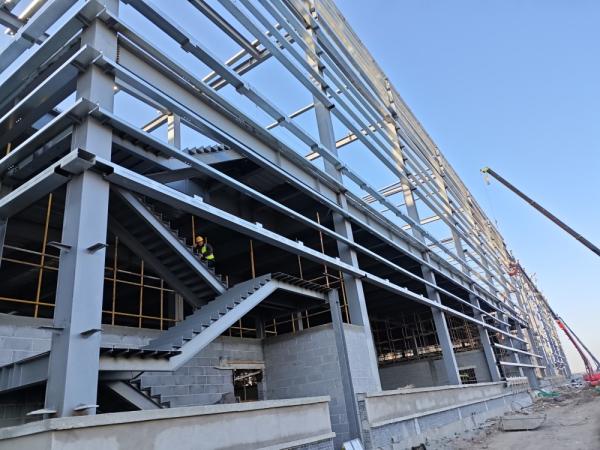 Decorative aluminum panel and Glass curtain wall designed modern prefab steel