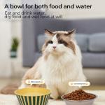 Wholesale Stainless Steel Pet Bowls anti-slip cat feeding bowls Dog Bowls