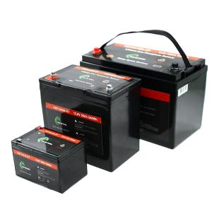 China ABS Deep Cycle Lifepo4 Rechargeable Battery 12v 10ah 50ah 100ah 1280Wh factory