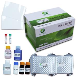 China 10min Porcine Parvovirus Test Kit Rapid Test Rtk For Pig 192 Wells/Kit GMP factory
