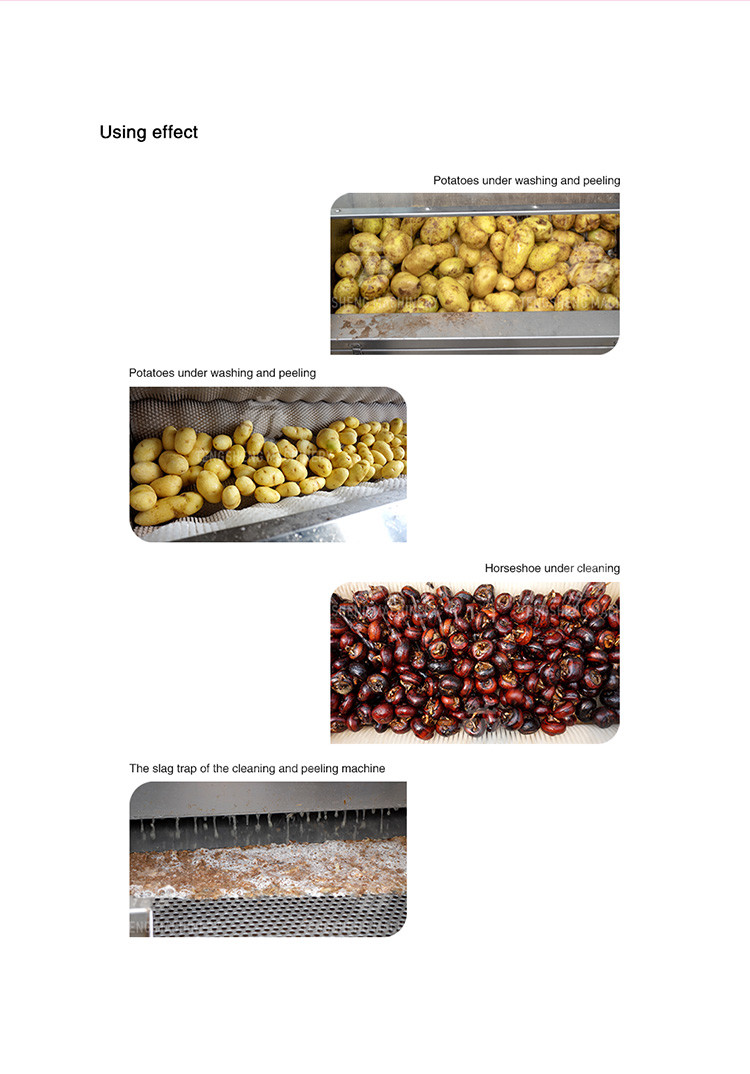 380KG 380V Manufacturers supply large brush washing machine potato carrot washing machine manufacturers direct