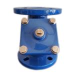 Ducrile Iron DIN3202 F1 Y Strainer DN50-DN300