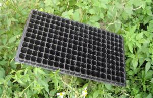 China Seed Grow Plastic Germination Trays Garden Vegetable Hydroponic Trays factory