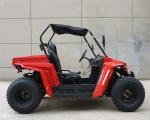 Footbrake / Hydraulic Disc 150cc Gas Utility Vehicles For Kids / Adults EEC EPA