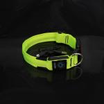 Customized LED USB Rechargeable Pet Dog Collar With Buckles Nylon Webbing