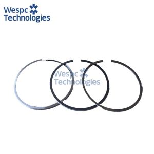 WESPC 115017491B Piston Kit for Perkins 404C-22 404D-22 404D-22T Diesel Engines