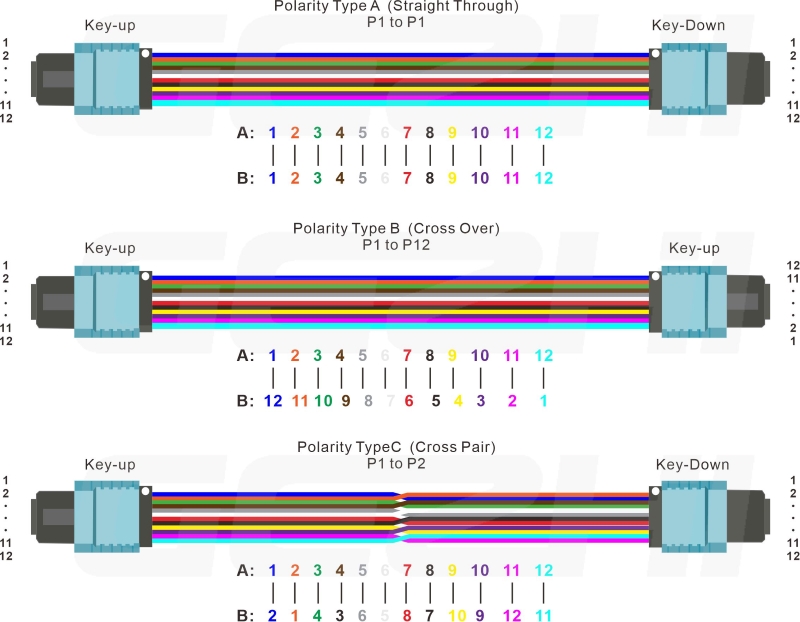 MPO patchcor polarity1.jpg
